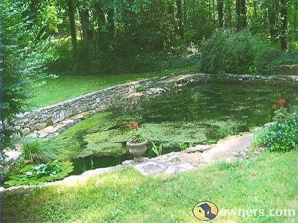 Fish Pond