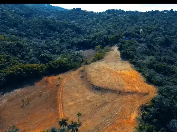 1 Bo Jaguey, Rincon, PR 00677