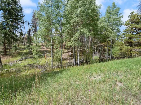 000 Lot 3 Indian Springs Road, Conifer, CO 80123