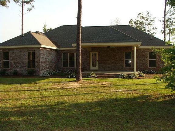 Back View