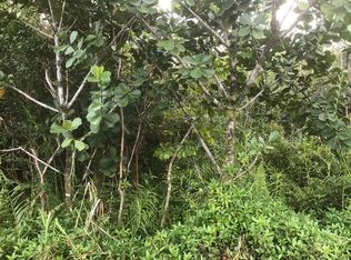 3rd Ave LOT 2627, Keaau, HI 96749