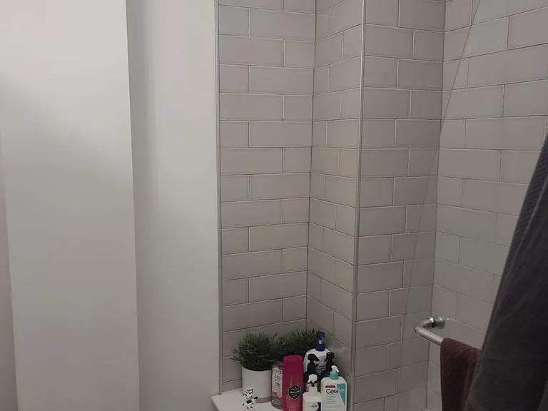 1841 S 4th St #3 — Photo 6