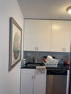 Rented by Otsuka New York | media 14