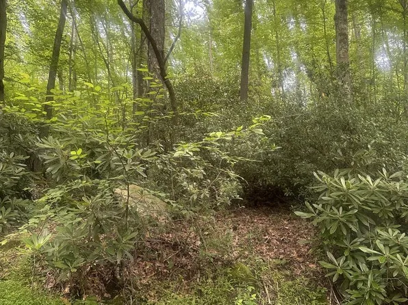 Bear Dr E, Oakland, MD 21550