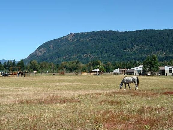pasture
