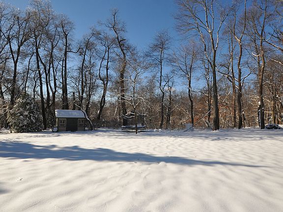 View of backyard with shed
