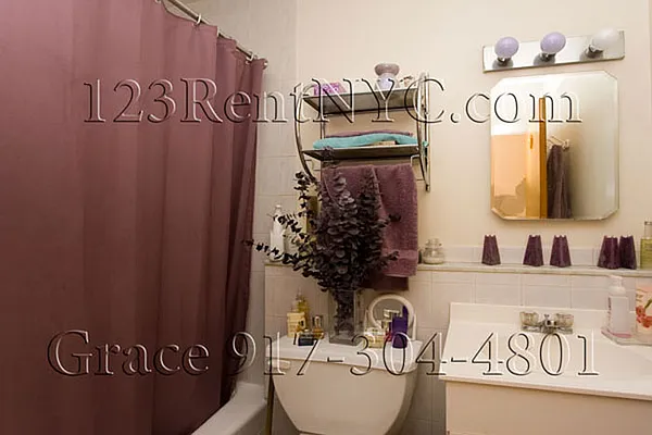 Rented by 123RentNYC.com | media 9