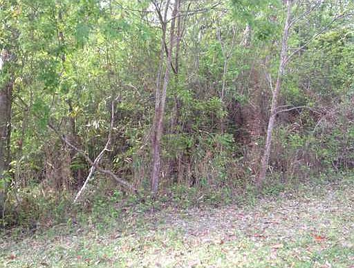 2nd image of 8913 E Live Oak Ave #6