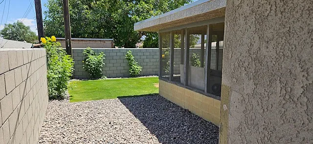 side of backyard