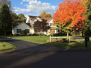 2nd image of 37 Long Creek Dr