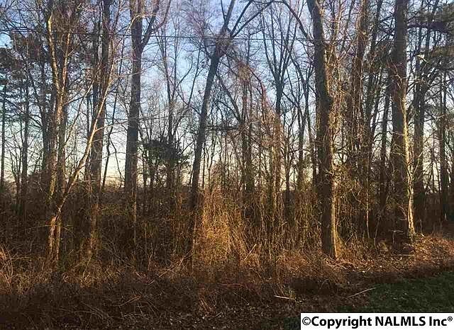 2nd image of 402 Bluff Dr NE