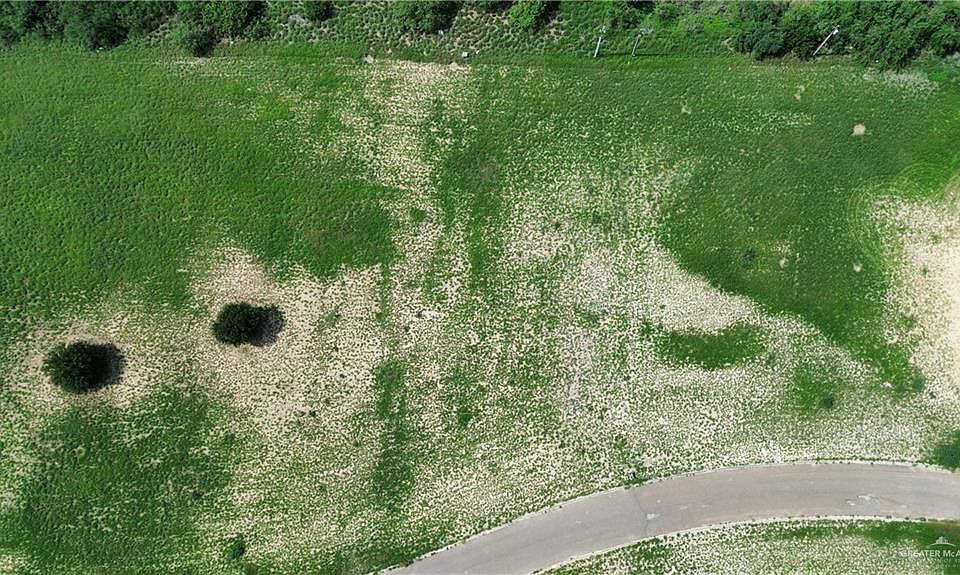 1st image of Mimosa Cir