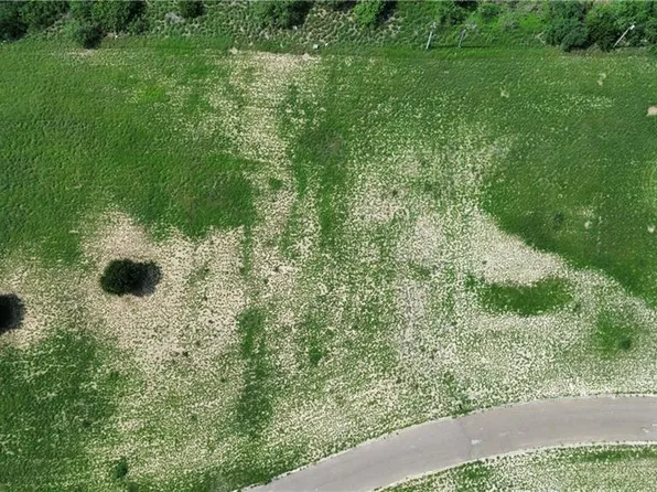 Mimosa Cir, Rio Grande City, TX 78582