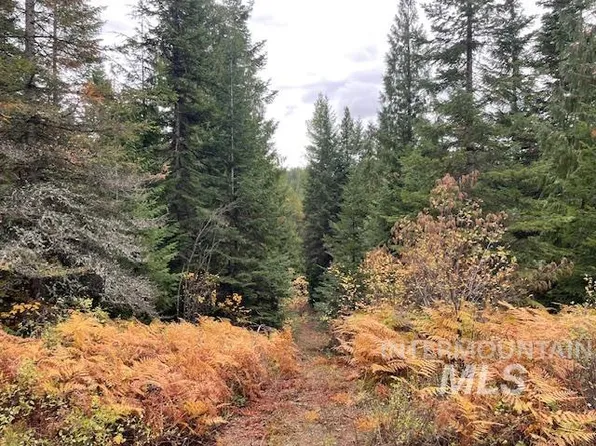 0 Middle Fork Santa Creek Rd, Saint Maries, ID 83861