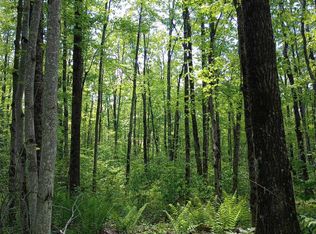 10 Bridge Ln, Glen Flora, WI 54526