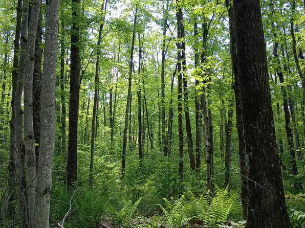 10 acres BRIDGE LANE, Glen Flora, WI 54526