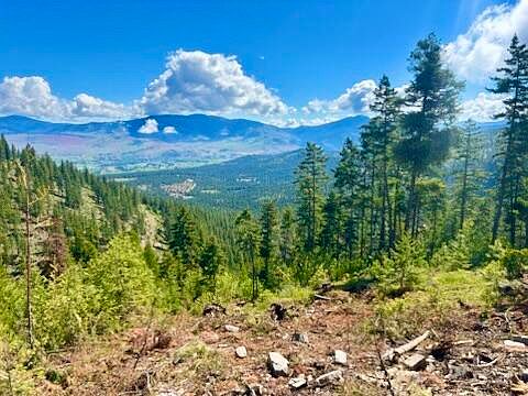 2nd image of 0 E Fork Combest Creek Rd