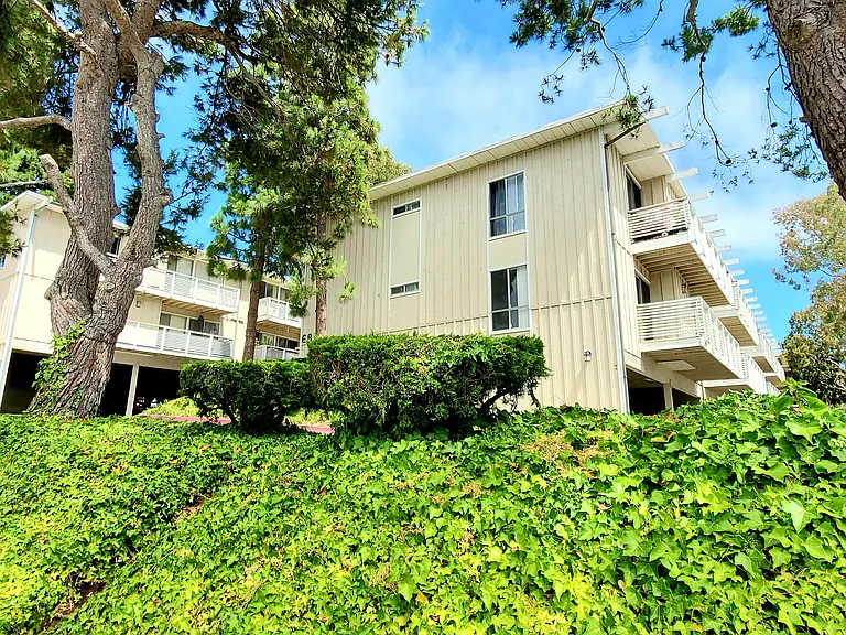 6774 Los Verdes Dr #8 — Photo 6