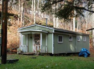 1629 Perch Lake Rd, Andes, NY 13731