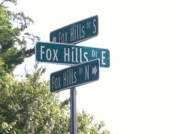 5th image of 656 E Fox Hills Dr #1