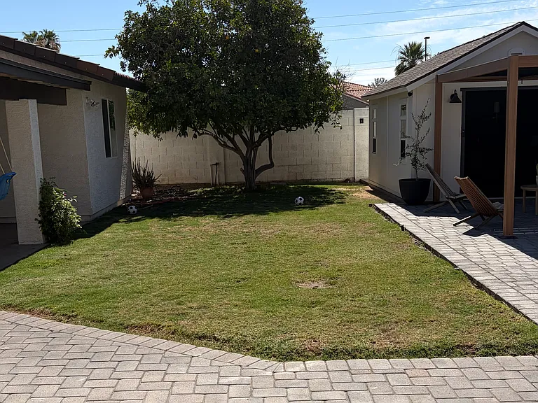 Green Area good for Dogs
