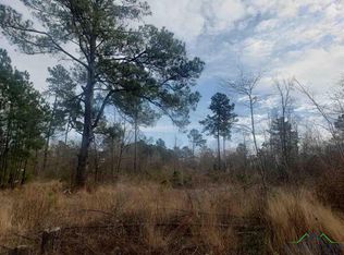 Tbd Sam Hall Rd, Hallsville, TX 75650