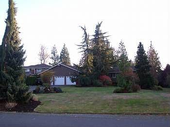 Front yard
