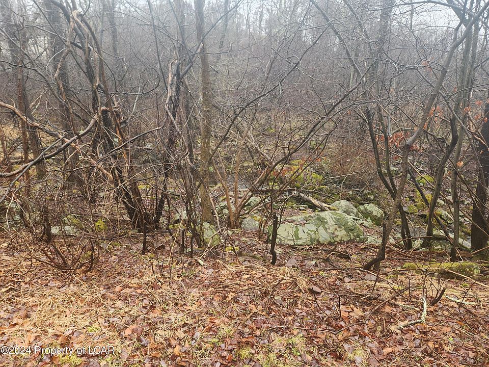 2nd image of 43 Thunder Dr