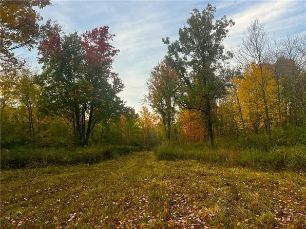 80 Acres Ducommun Road, Ladysmith, WI 54848
