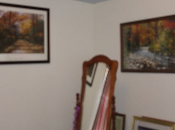 5th image of 4907 Clover Ave