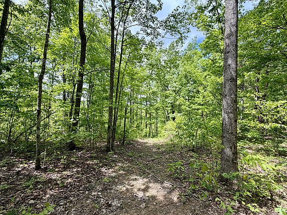 3rd image of 100A Open Fork Rd