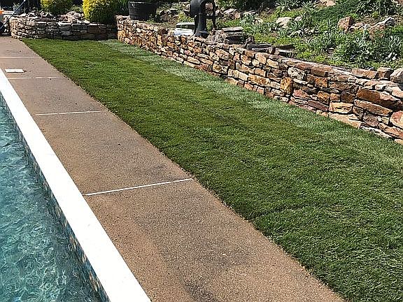 Fully landscaped rear yard