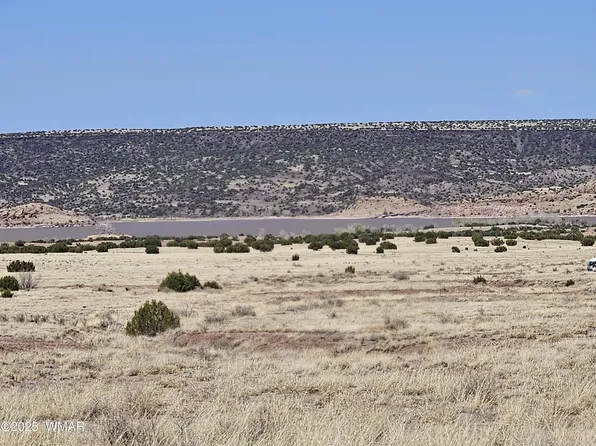 43 County Road 4019 N, Saint Johns, AZ 85936