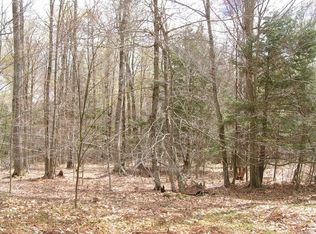 0 Charlie Burton Rd, Westford, NY 13488