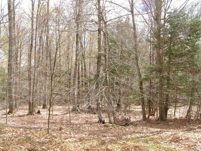 0 County Highway 39, Worcester, NY, 12197