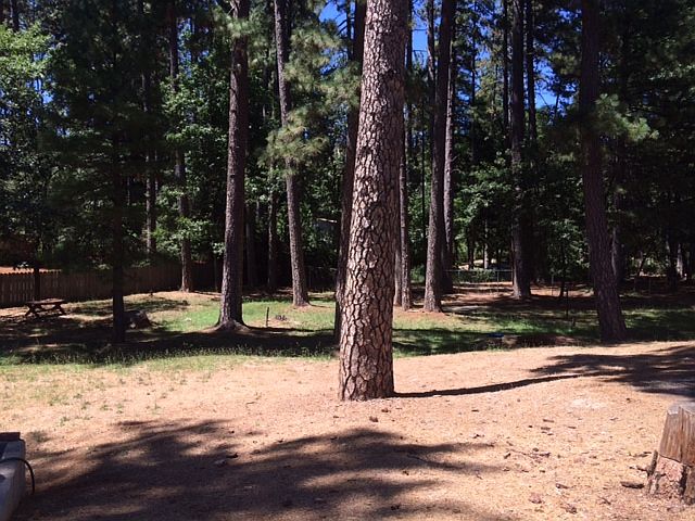Picnic Area