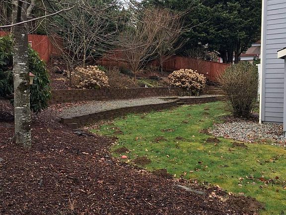 side and backyar, fruit trees, raised beds to grow your own