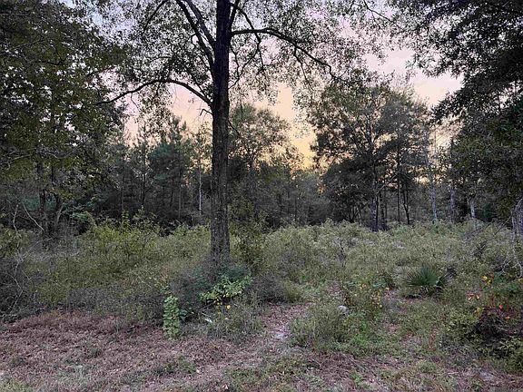2nd image of Rl9b Phillip Richardson Rd
