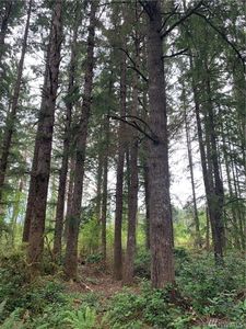 2101 220th St, Ocean Park, WA, 98640