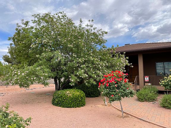 front yard