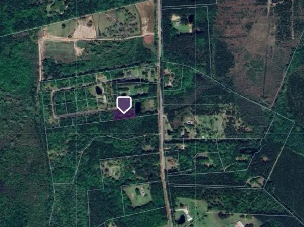 17 Live Oak Cv, Townsend, GA 31331