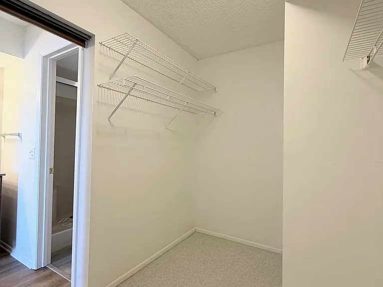 Other side of HUGE Primary Walk-in closet!