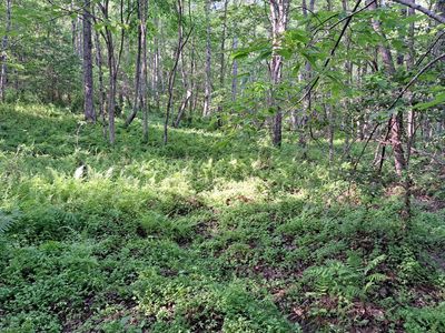 Airport Road Pca Lot 5, Rockwood, TN, 37854