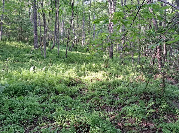 Airport Road Pca Lot 5, Rockwood, TN 37854