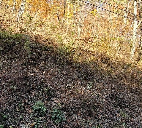 3rd image of 5657 Hidden Hollow Way Lot 56/57