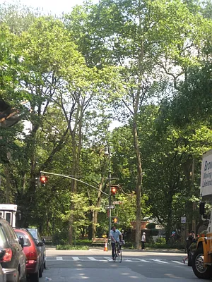 Rented by Magnone Real Estate | media 18