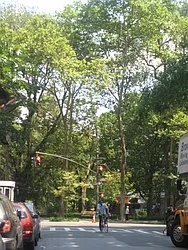 Rented by Magnone Real Estate