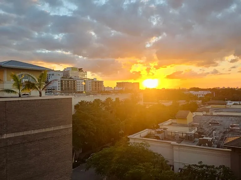 Window View