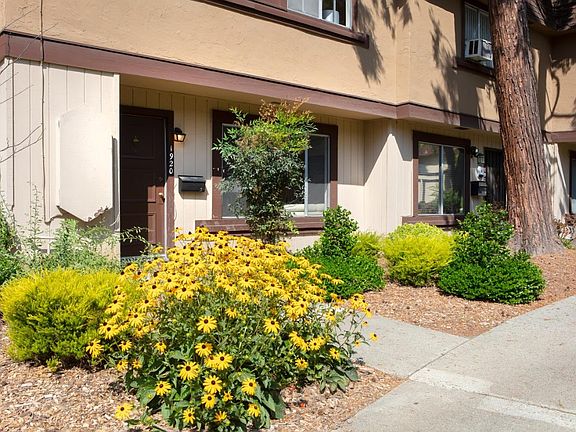3rd image of 1920 Bluewood Cir
