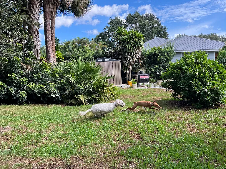 902 SE Ocean Ave — Photo 17